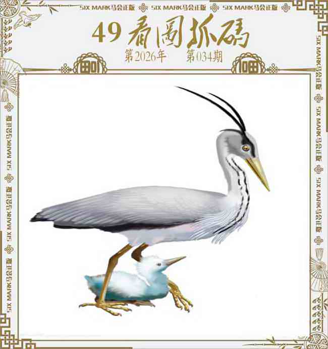 034期49看图抓码[图]